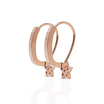Load image into Gallery viewer, Fern Diamond Dropping Earrings