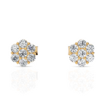 Load image into Gallery viewer, Magnificent 7 Diamonds Studs