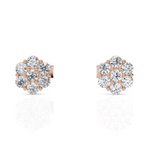 Load image into Gallery viewer, Magnificent 7 Diamonds Studs