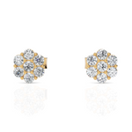 Load image into Gallery viewer, Magnificent 7 Diamonds Studs
